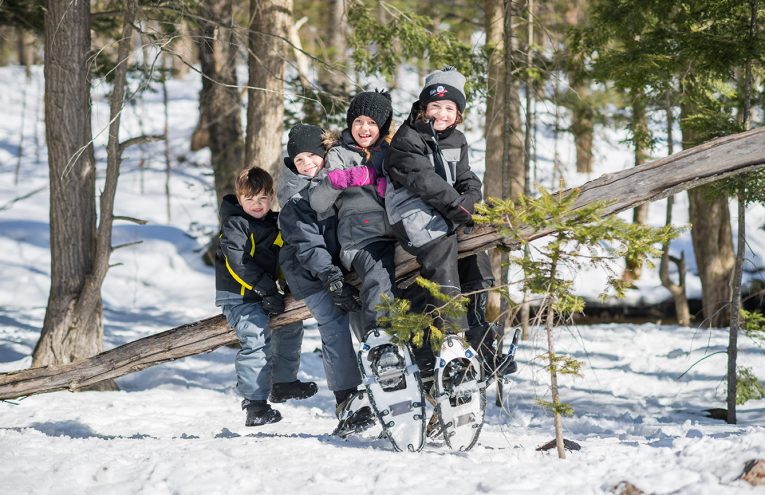 Programmation activités hiver 2019